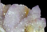 Cactus Quartz (Amethyst) Crystal Cluster - South Africa #180719-2